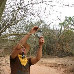 FitoEscobar1's profile picture. apasionado por el RALLY