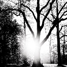 shells_1012's profile picture. 