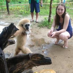 s4294493's profile picture. 