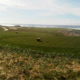 BestofCSPAN's profile picture. We are not affiliated with C-SPAN.