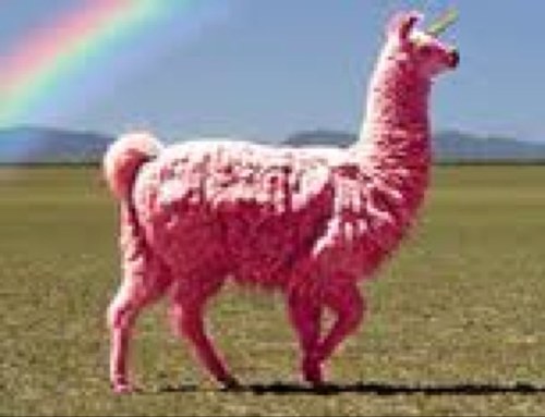 The Ass. is for Association. WE ARE THE SLA! FOLLOW FOR SPARKLY LLAMA UPDATES! Fatina Girdle and Seymour Buns tell you all sorts of llama related advice!