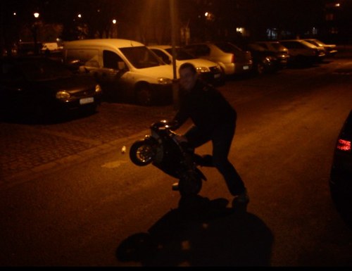 Wusten_fuchs's profile picture. 