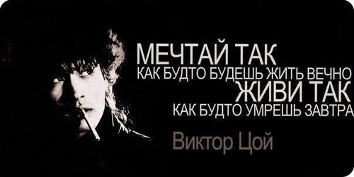 AlexandrArras's profile picture. 