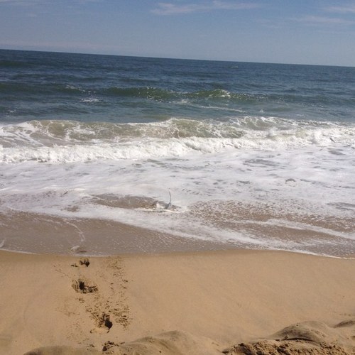 linda412's profile picture. 