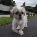 Chris Taranto - @ctaranto - Twitter