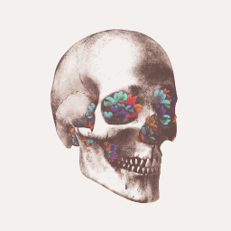 RandomRadness's profile picture. Making your nipples tingle since 93'