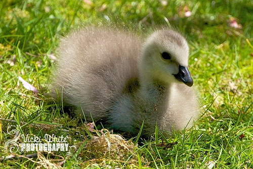 suyoung4040's profile picture. 