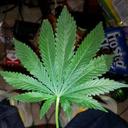 Jacob Winkle - @winkywinkwinkle - Twitter