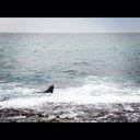 mitchell morrow - @mitchy9293 - Twitter