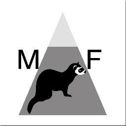 mountainferrets's profile picture. Left foot, right foot your body will follow.
Beeky, @arkatpaulo, @kevmarwood & @trickywhippet are intrepid fundraisers for The Mitchemp Trust