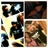 Barbie_chyna's profile image