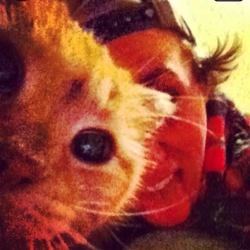 FlickmyBick_17's profile picture. I like dill pickle chips a lot.