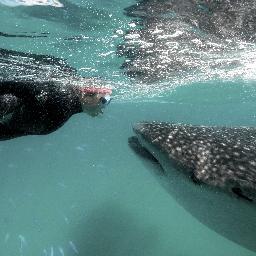 Academic & Research scientist: behavioural ecology, conservation, nutrition, elasmos & cetaceans