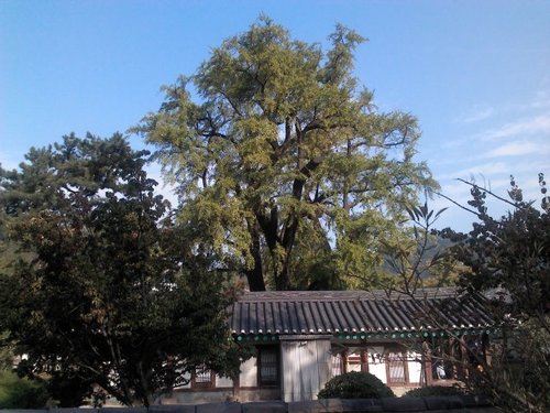 kech1955's profile picture. 정직과신용=풍요