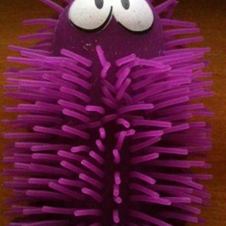 house13581's profile picture. 