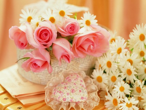 alanaeem9's profile picture. 