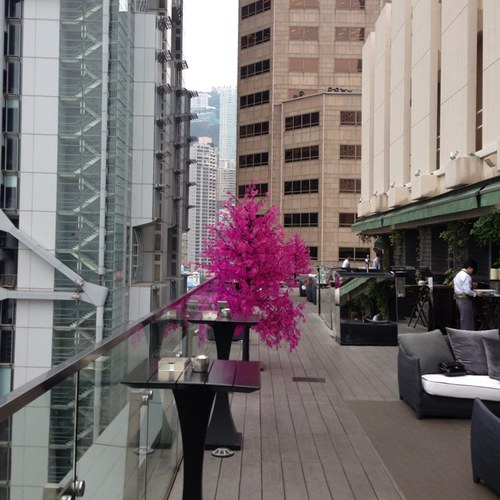 lombom's profile picture. 