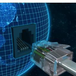 networkDynamicK's profile picture. 