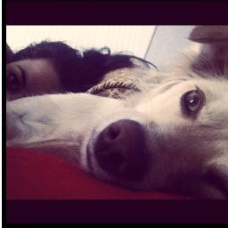 Onfire_Alexis's profile picture. Enjoythishit |Diseña y Destruye|

Owner of Bright Kids