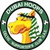 Dubai Hoops CSC (@DubaiHoopsCSC) Twitter profile photo