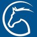 Cavaliada (@cavaliada) Twitter profile photo