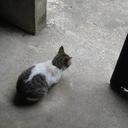 carmen cheng - @carmencheng6 - Twitter