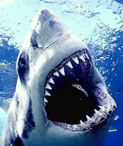 master_soap's profile picture. Awesome boss and good looking!!!