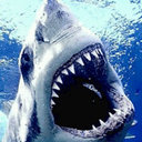 caleb banks - @master_soap - Twitter