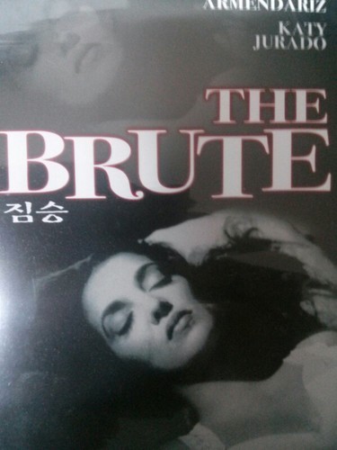 kubrinema's profile picture. 제로에서 시작한다.