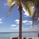 sally goldsmith - @sallygoldsmith3 - Twitter