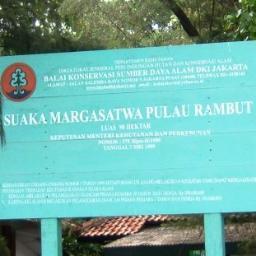 Pulau Rambut merupakan salah satu daerah konservasi yang banyak menyimpan puluhan spesies burung air.