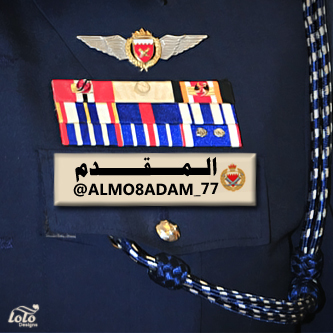 الشبكه الاهليه للدفاع عن القياده واهل السنه والجماعة والشرفاء