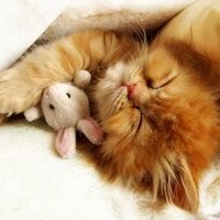 Tete-su (@tete_su) 's Twitter Profile Photo