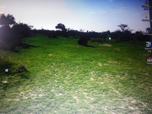 mrfhad2012's profile picture. 