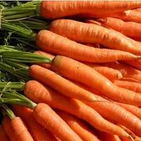 ihat3carrots(@ihat3carrots) 's Twitter Profile Photo