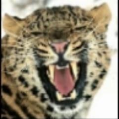 SJaguar79's profile picture. Formula 1 commentator в Setanta Sports

ex https://t.co/TbJIHY0xLp editor. 
Телеграм-канал https://t.co/FSBxPQRmfL