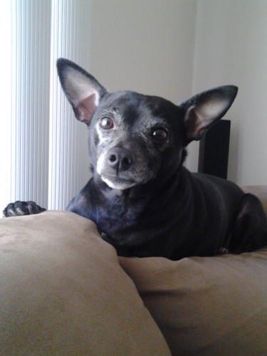 noodypants's profile picture. 