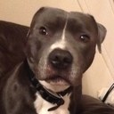 chad blackwell - @bla_chad - Twitter