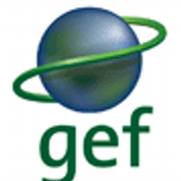 GEF_SGP.UZ (@gefsgp) 's Twitter Profile
