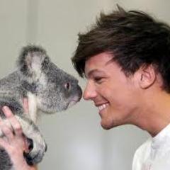 I will never stop loving those 5 crazy boys who came in my life 2 years ago. One band, one dream, One Direction.