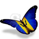 Yvette Small - @yvette_small - Twitter