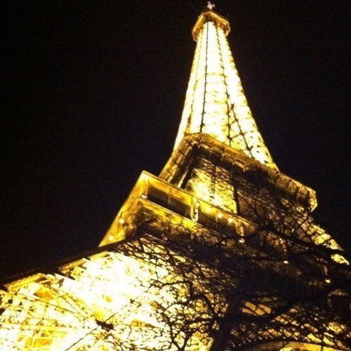 matthewwest11's profile picture. 