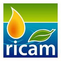 AEI Cluster RICAM (@clusterricam) 's Twitter Profile