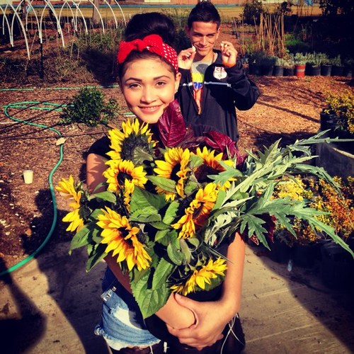 We are a teen jobs program that looks like a school farm, CSA and culinary program. Sign up and support young farmers in So Cal! #urbanag