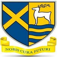 STAGS (@stags_official) 's Twitter Profile