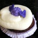 Donna Marone Cohen - @MaroneCohen - Twitter