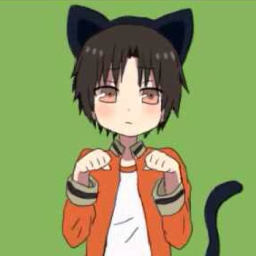 ミャンコ先生さんのプロフィール画像
