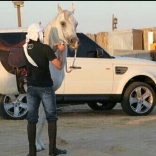 سعيد الشهراني