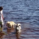 jason getchell - @jgetchell - Twitter