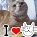 我が家の☆福猫たち☆♂5♀4☆(ΦωΦ*)ちゃむ2024.1🌈享年13歳☆2017愛玩動物飼養管理士１級☆動物介護士★動物介護ホーム施設責任者2016取得☆殺処分大反対!!! 1匹でも多くの猫を幸せにしたい★国境無き猫もふ団★フォローありがとうございます💕2011.12.25～